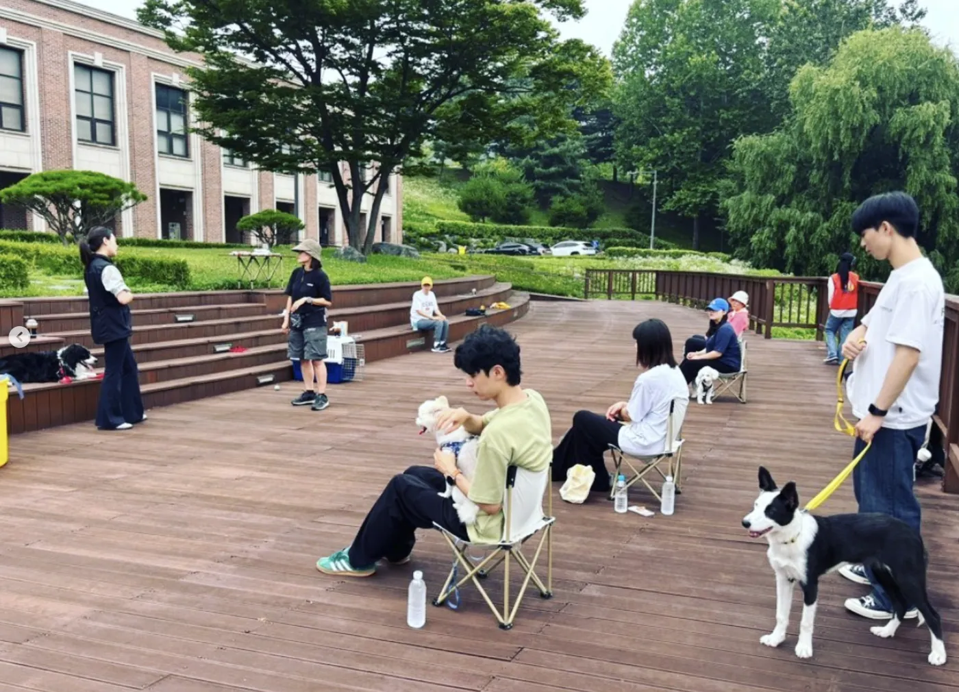 원주시 반려가족을 위한 맞춤교육